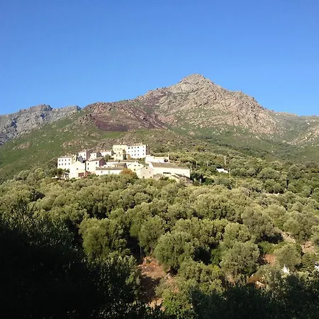Apartment Erbalunga, Cap Corse Erbalunga (Corsica)